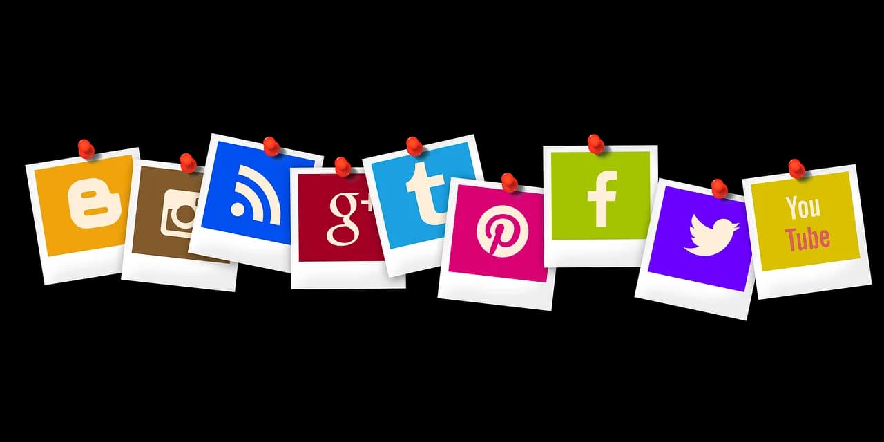 Réseaux, Sociaux